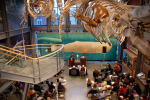 whaling museum